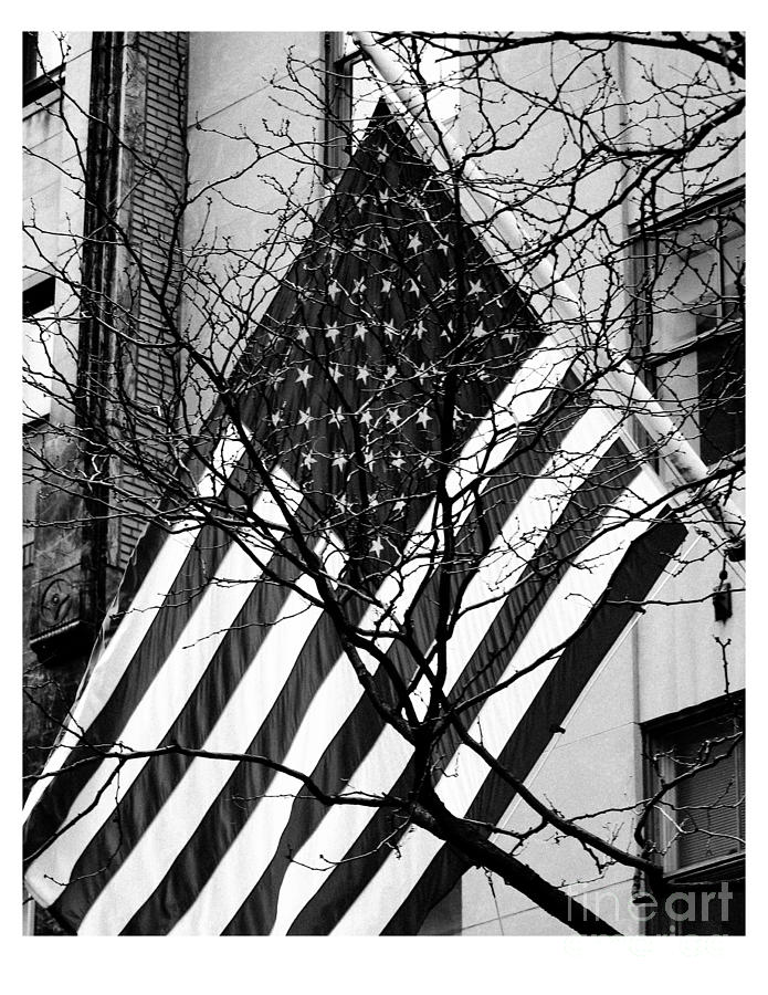 Central Park Photograph - NYC American Flag by Robert Yaeger