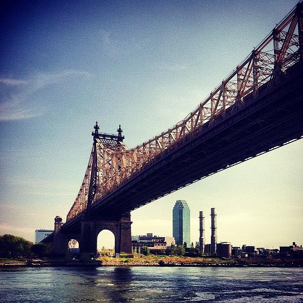 Bridge Photograph - #nyc #rooseveltisland Beautiful Day by Matthew Tarro
