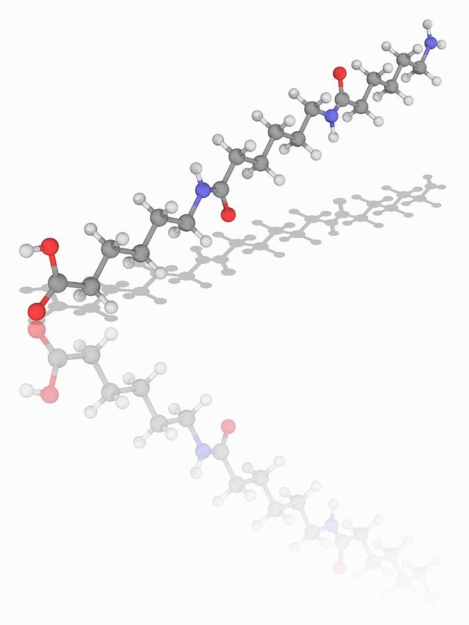 Nylon 6 Polymer Molecule Photograph by Laguna Design/science Photo