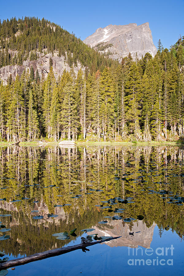 Nymph Lake in Rocky Mountain National Park Photograph by Fred Stearns