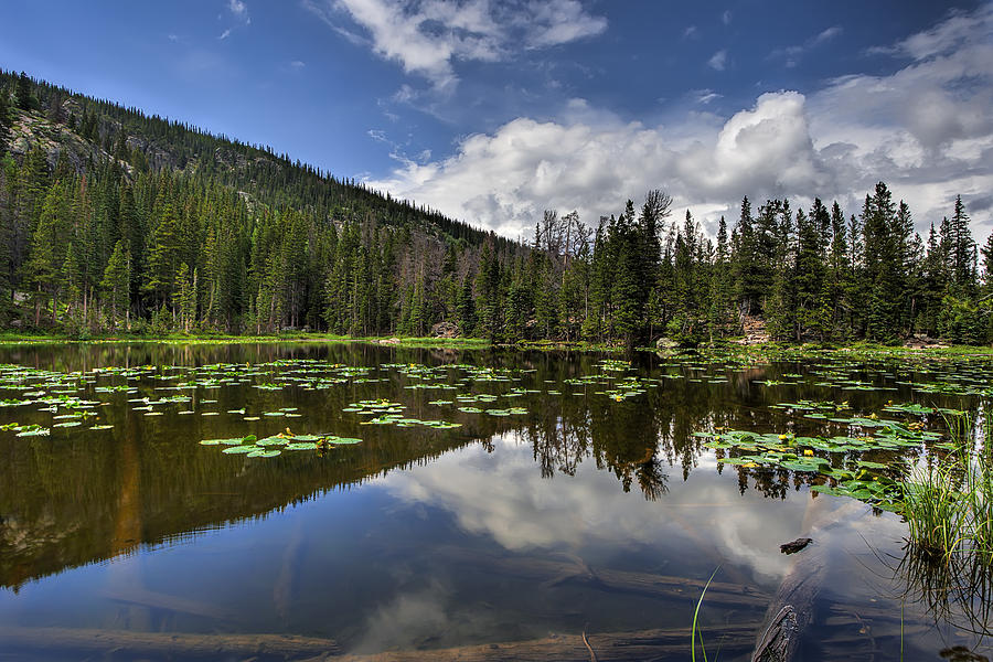 Rocky Mountain National Park Photograph - Nymph Lake by Scott Wood