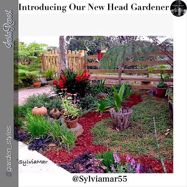 Garden Styles Photograph - :
you Know Im A Gardener At Heart by Sylvia Martinez
