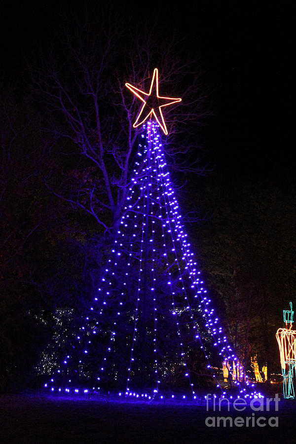 O Christmas Tree Photograph by Kathy  White