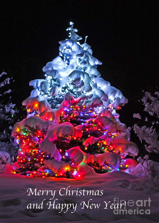Christmas Photograph - O Christmas Tree by Nancy Chilcott