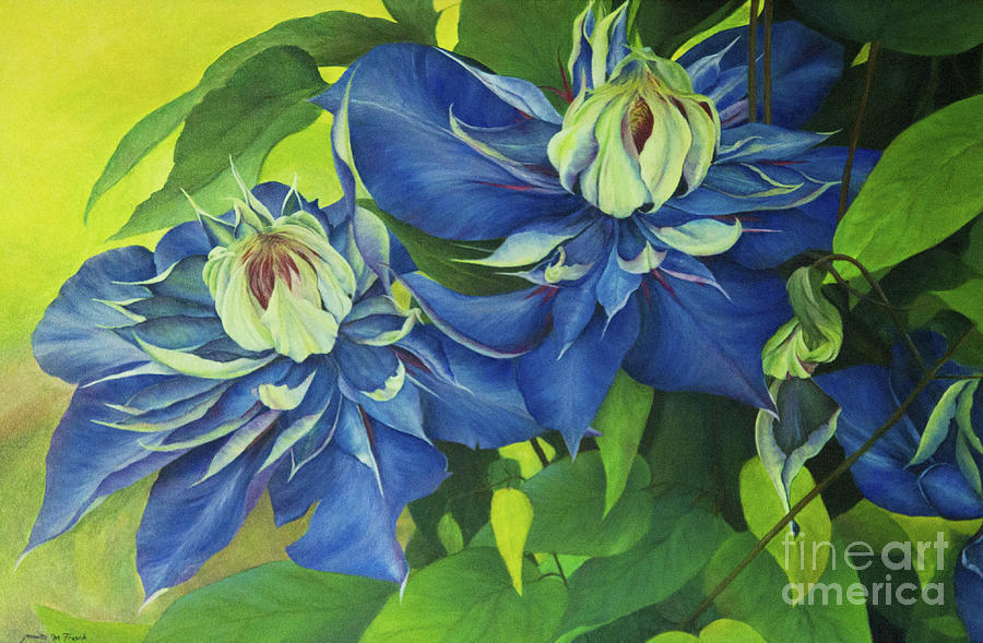 O Clematis Painting by Jeanette French