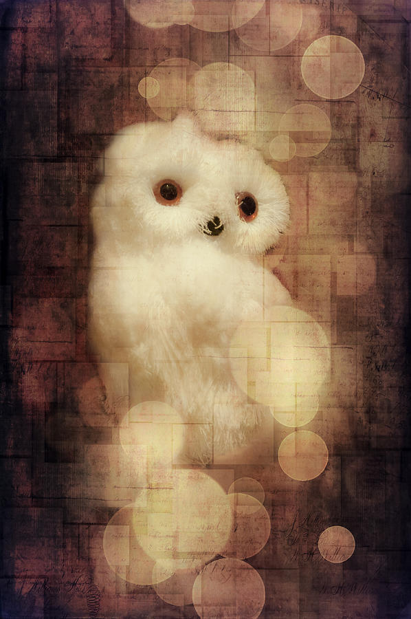 Owl Photograph - O Owly Night by Loriental Photography