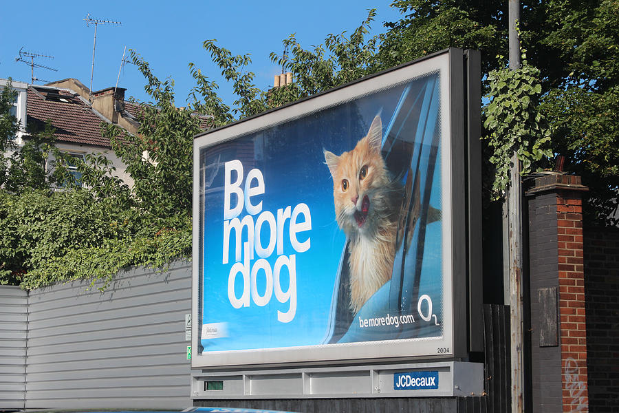 O2 Be More Dog Billboard Photograph