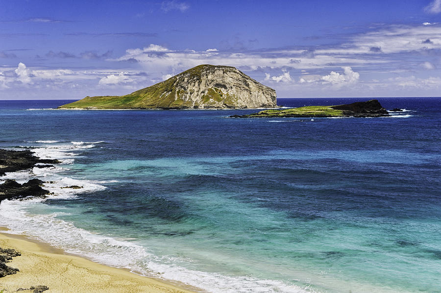 turtle island tour hawaii