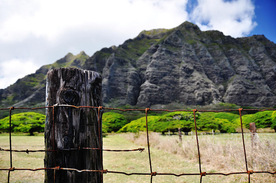 Oahu Fence Photograph by Kelly Wade