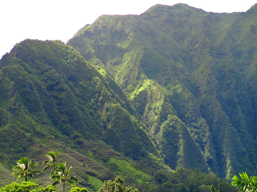 Oahu Ko Olau Mountains Photograph