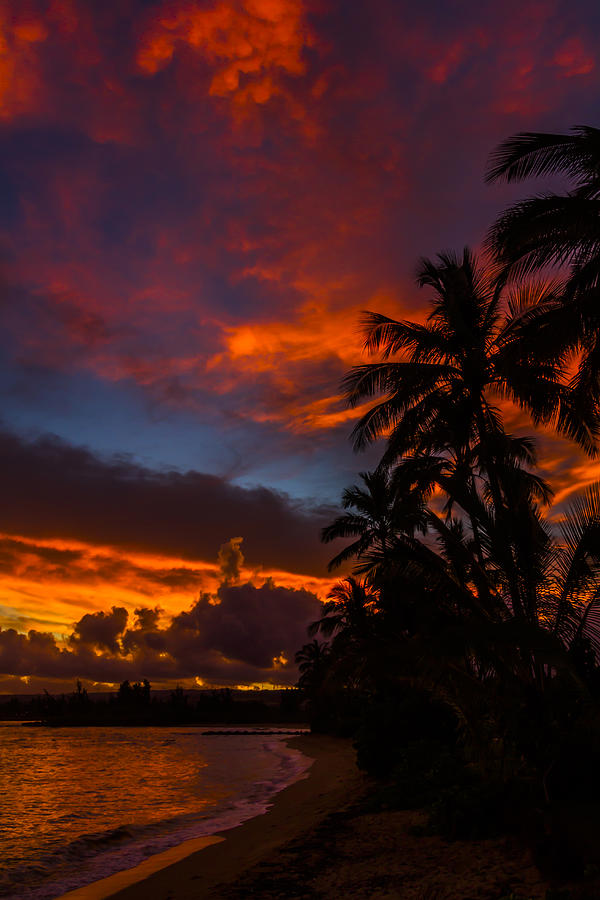 Sunset Photograph - Oahu Sunrise by Kelly Headrick