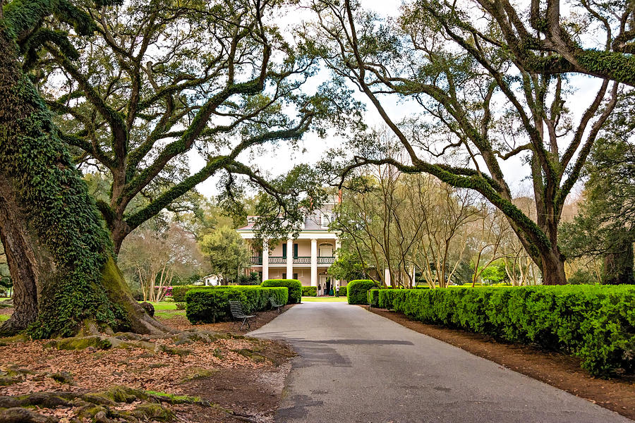 Oak Alley Rear Entrance Photograph by Steve Harrington - Fine Art America