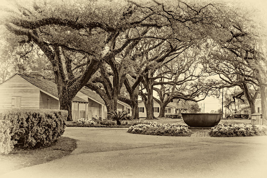 New Orleans Photograph - Oak Alley Slave Quarters sepia by Steve Harrington