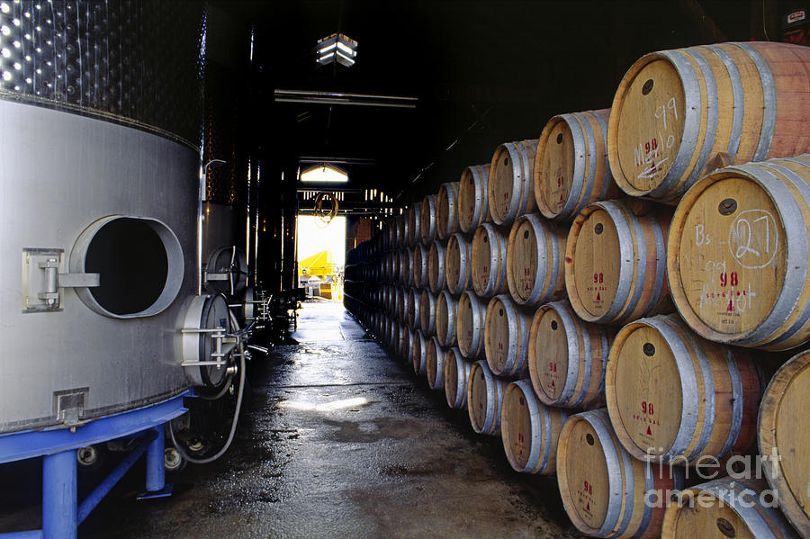 Oak Barrels at Ventana Vineyards Photograph by Craig Lovell