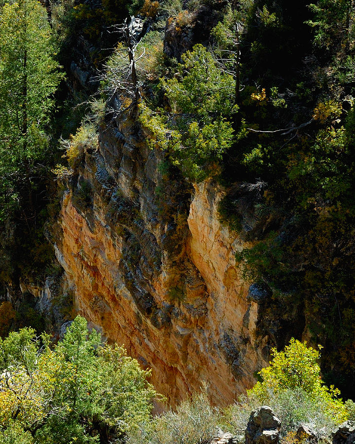 Oak Creek Canyon Color 23614 Photograph by Jerry Sodorff