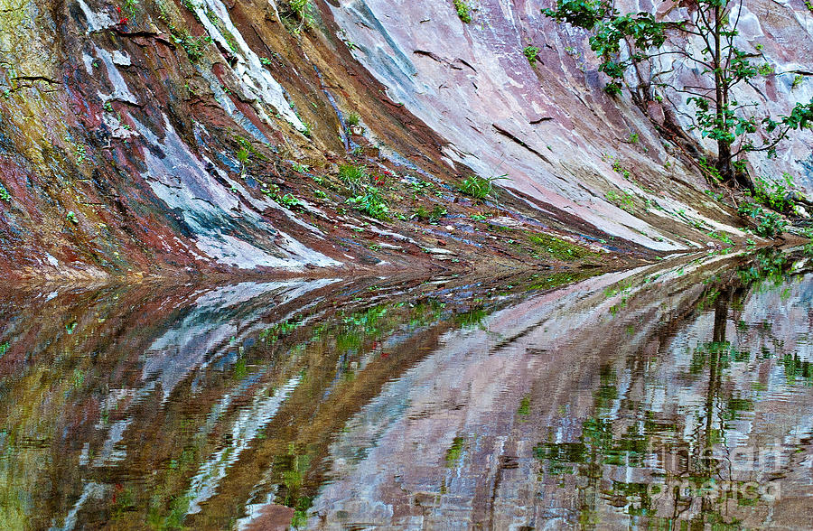 Oak Creek Canyon Reflection Photograph by Mae Wertz