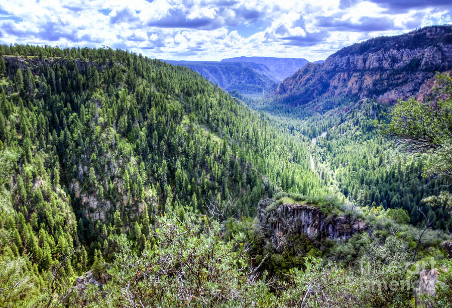 Oak Creek Canyon Road Digital Art by Georgianne Giese - Fine Art America