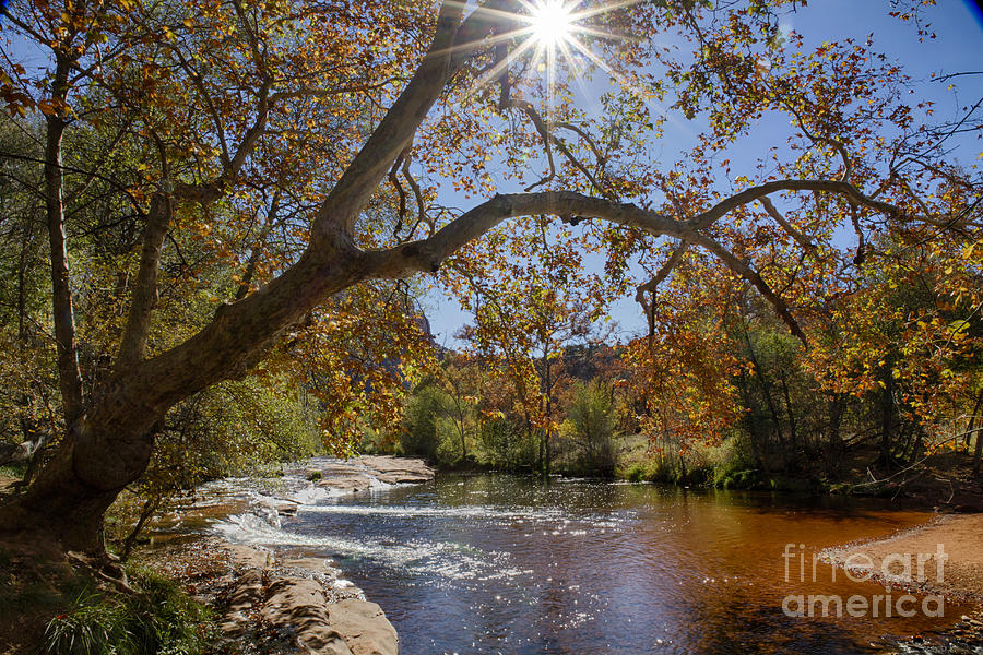 Oak Creek Photograph by Idaho Scenic Images Linda Lantzy