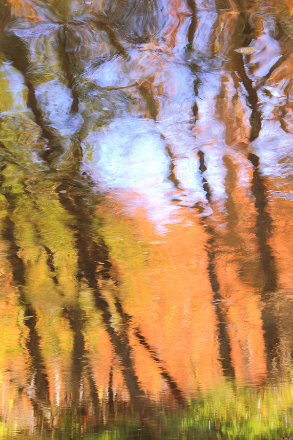 Oak Creek Reflections Photograph by Roupen Baker
