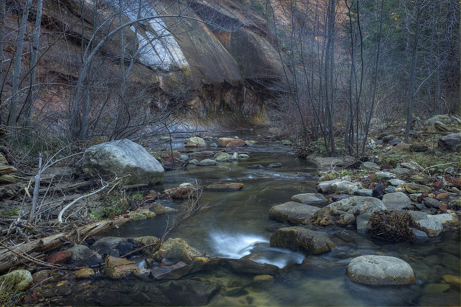 Oak Creek Photograph by Sue Cullumber