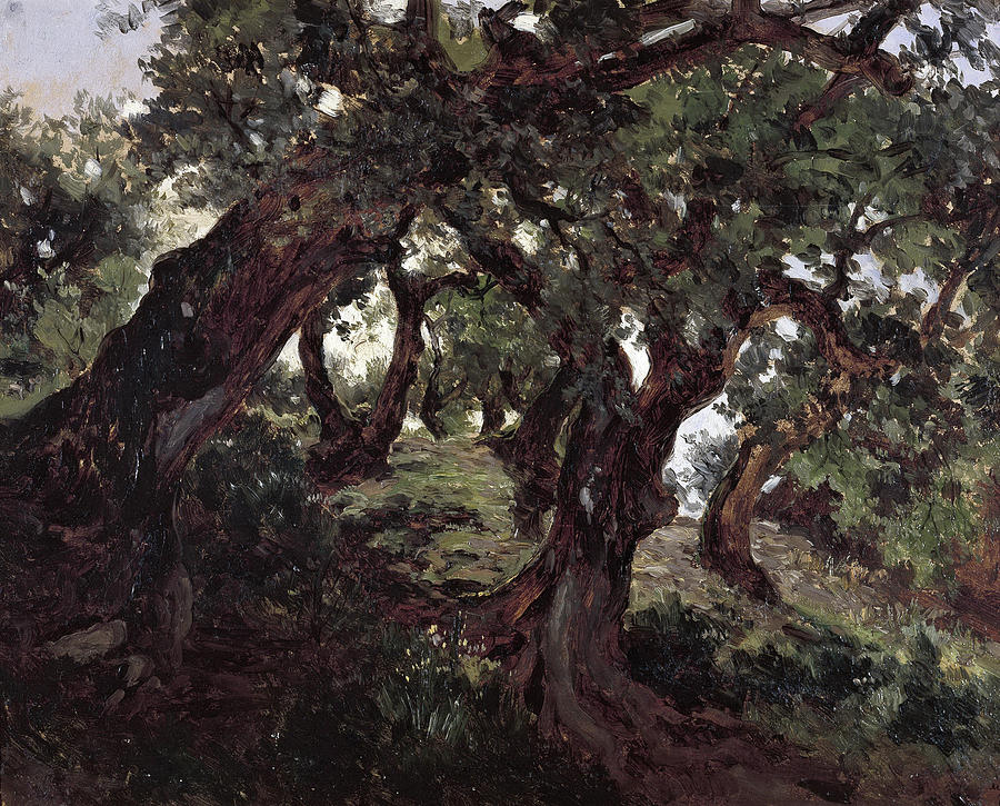 Oak Grove Painting by Carlos de Haes