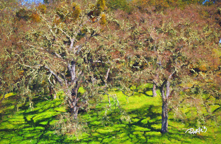 Oak Grove - Carmel Valley Digital Art by Jim Pavelle