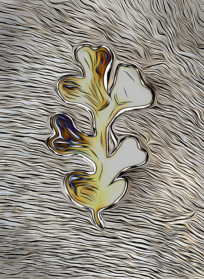 Oak Leaf Graphic Digital Art by Ron Cantrell