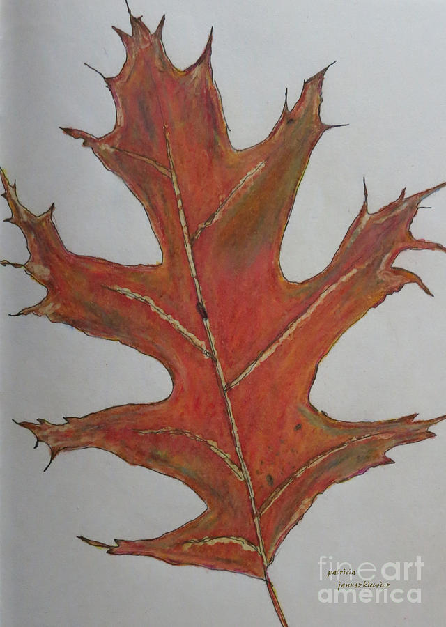 Oak Leaf Drawing by Patricia Januszkiewicz