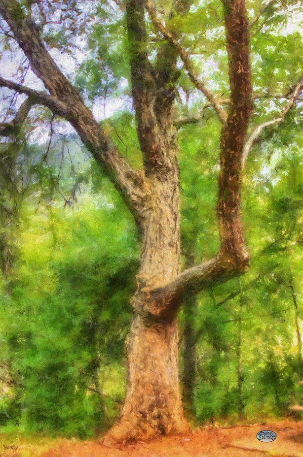 Oak on the Etowah Digital Art by Daniel Eskridge