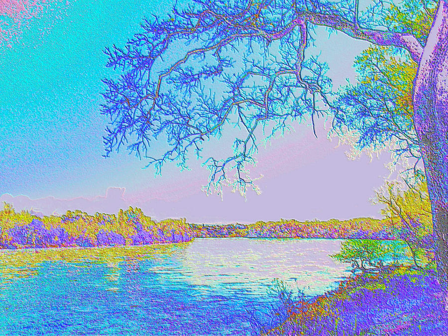 Oak On The Sacramento River - Pastel Digital Art by Joyce Dickens