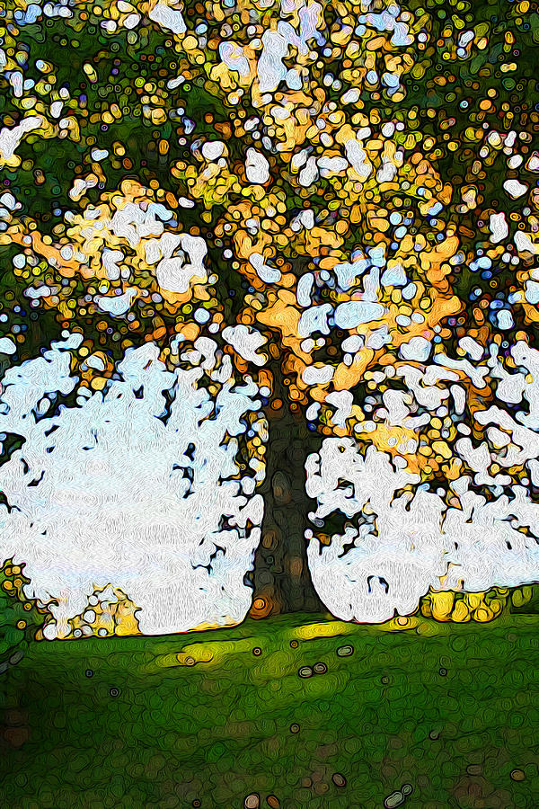 Oak tree 1 Digital Art by Geoff Strehlow | Fine Art America