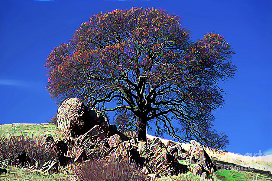 Oak Tree and Rocks Digital Art by Wernher Krutein