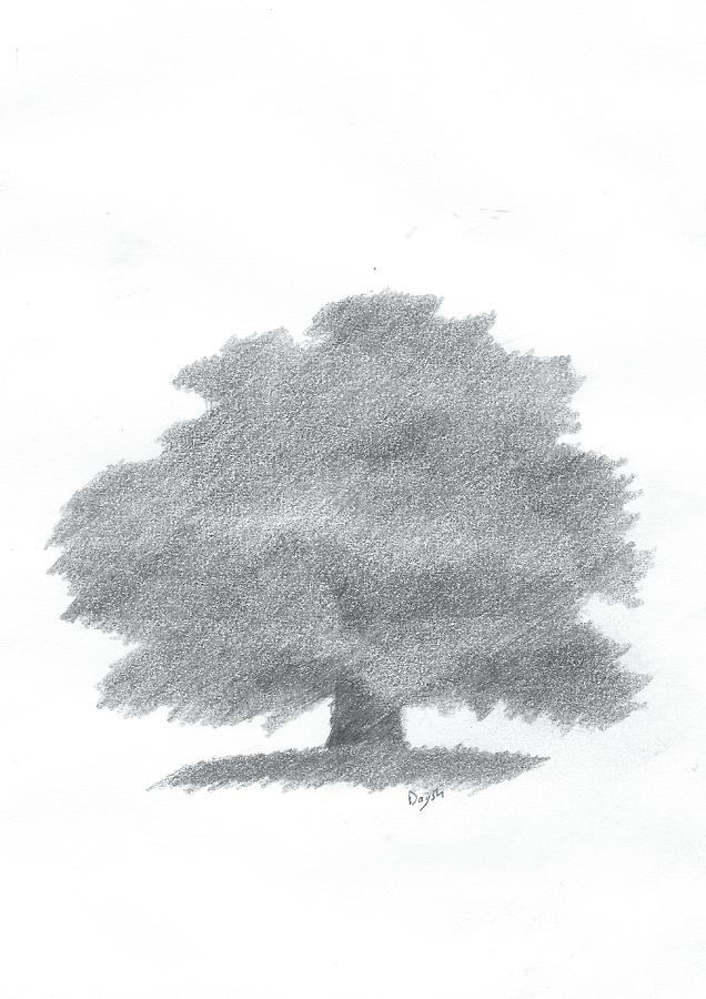 Drawing the trees: an oak tree by the roadside by Dactylae - Make better  art | CLIP STUDIO TIPS