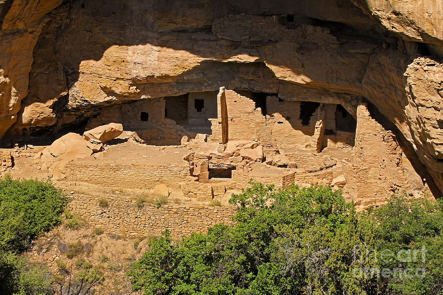 Oak Tree House Mesa Verde National Park Photograph by Fred Stearns