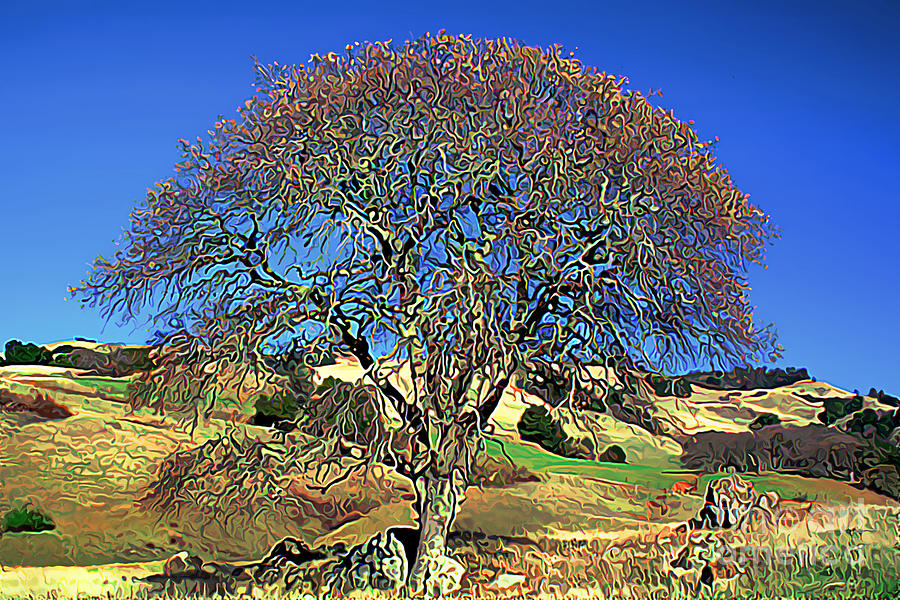 Oak Tree in a Field at Mt. Diablo Digital Art by Wernher Krutein