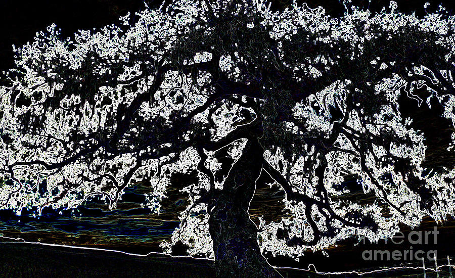Oak Tree Posterized Photograph by Paula Joy Welter