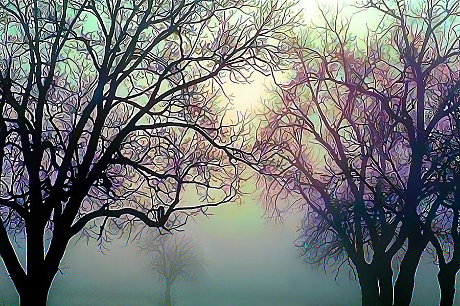 Oak Trees in the Mourning Myst Digital Art by Wernher Krutein