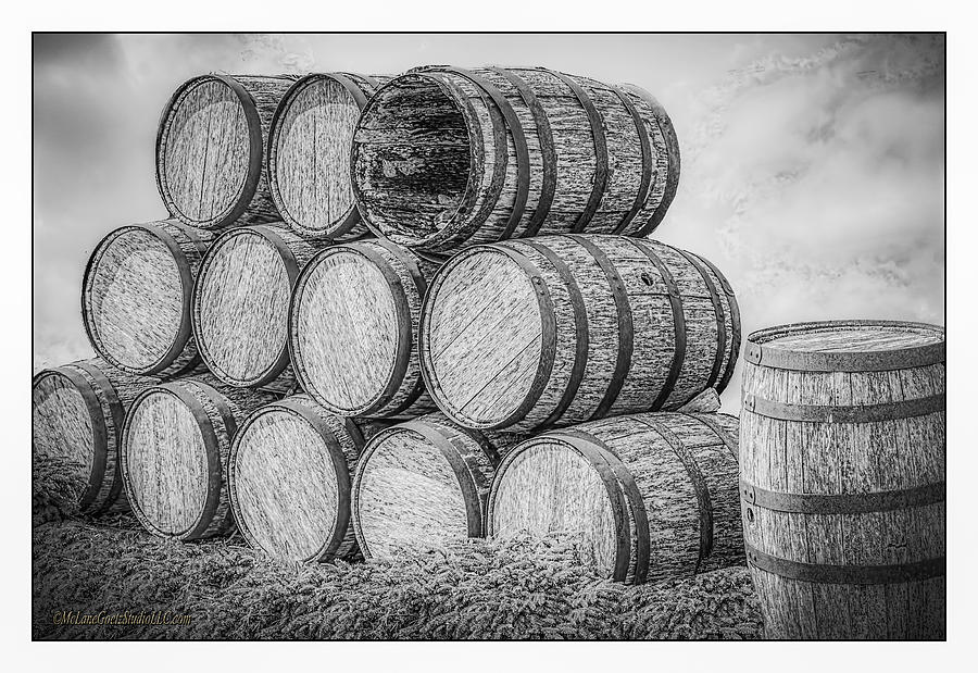 Food And Beverage Photograph - Oak Wine Barrels Black and white by LeeAnn McLaneGoetz McLaneGoetzStudioLLCcom