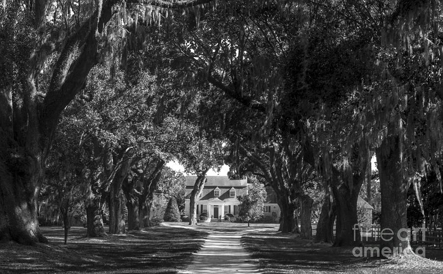 Oakland Plantation House in Mount Pleasant South Carolina Photograph by David Oppenheimer