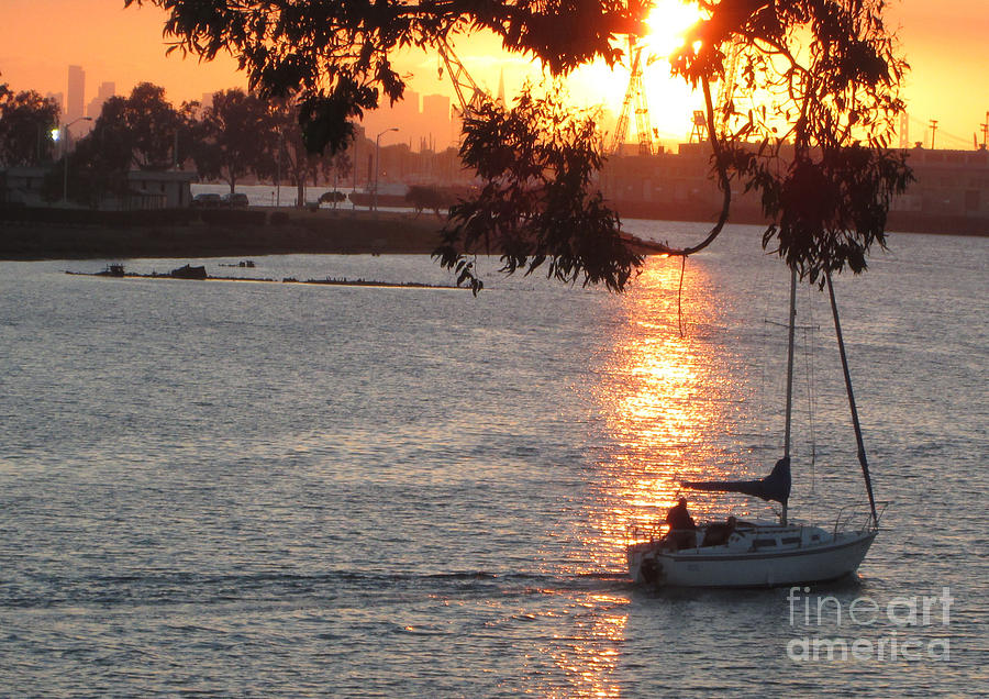 Oakland Sunset Photograph by Dalani Tanahy - Fine Art America