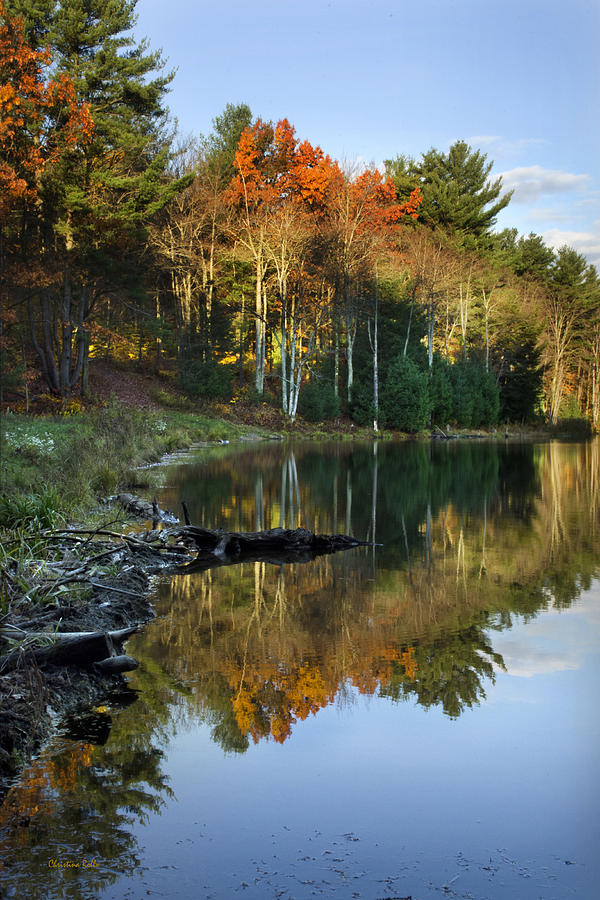 Oakley Corners State Forest by Christina Rollo Oakley Corners State Forest by Christina Rollo