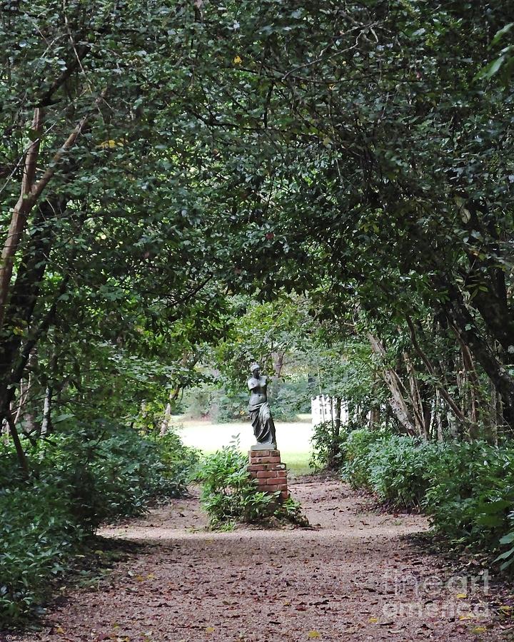 Oakley Plantation Louisiana Path Statuary Photograph by Lizi Beard-Ward