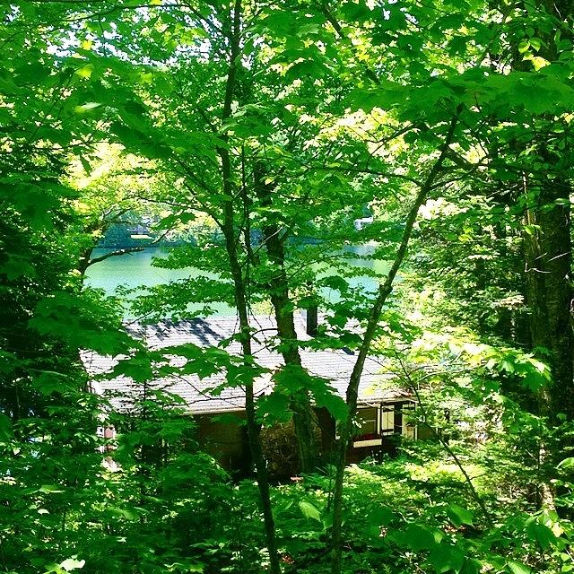 Nature Photograph - Oasis In Laurentians - Quebec - Canada by Cristina Stefan