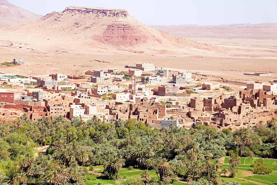 Oasis in the desert in Morocco Photograph by Nisangha Ji | Pixels