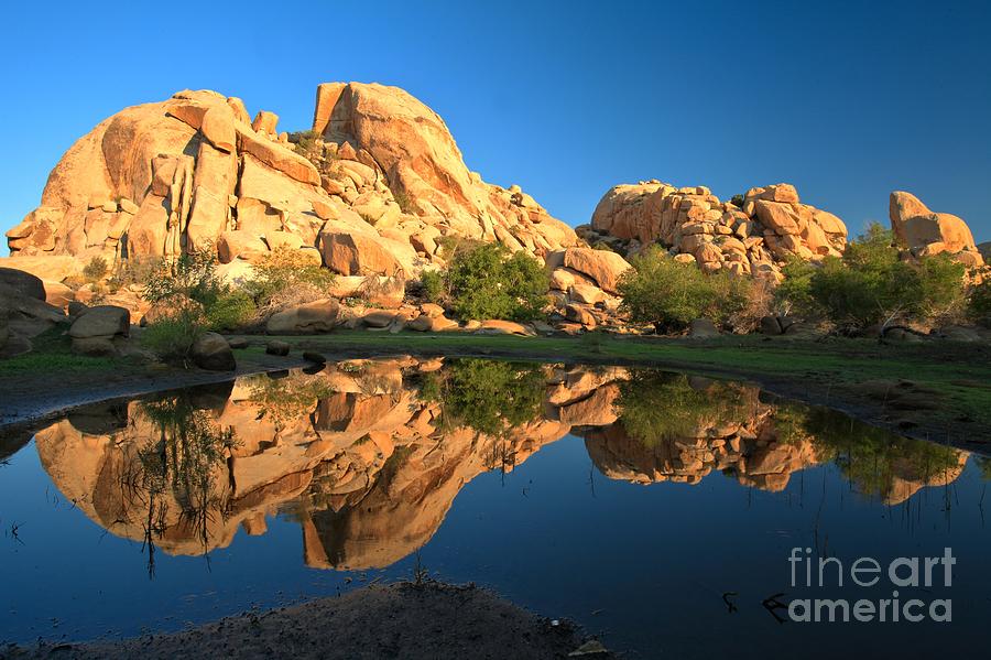 Oasis Reflections Photograph by Adam Jewell