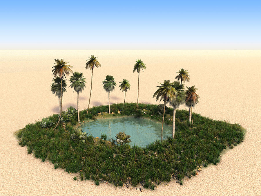 Oasis with palm trees in the middle of desert Photograph by Enot-poloskun