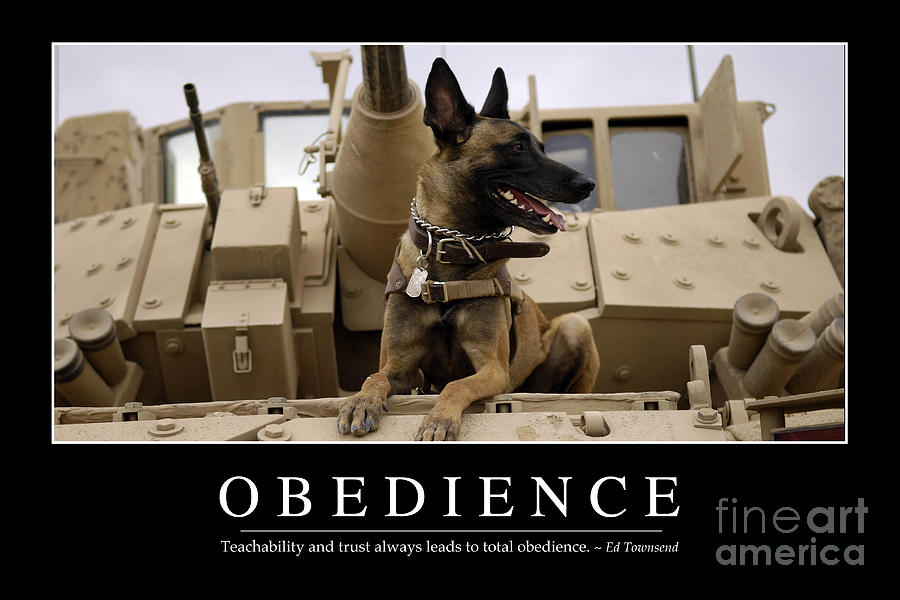 Transportation Photograph - Obedience Inspirational Quote by Stocktrek Images