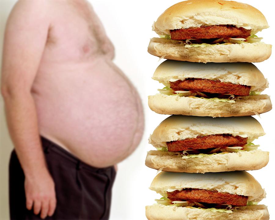 Obesity And Junk Food. 