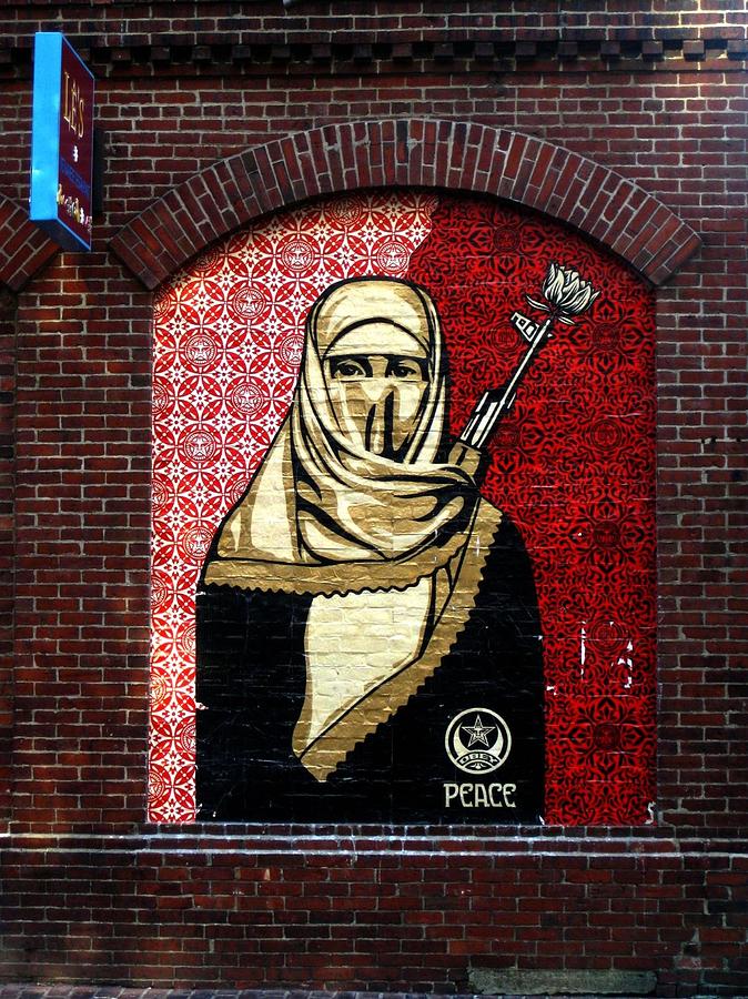 Obey peace street art Photograph by Natalie Paz