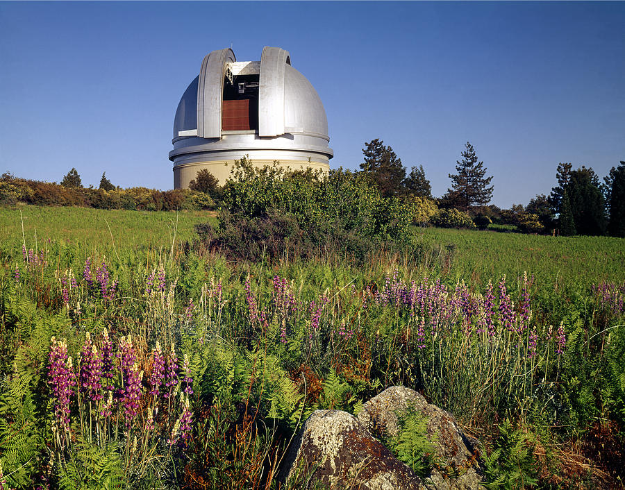 1b6502-h-observatory At Mt. Palomar Photograph